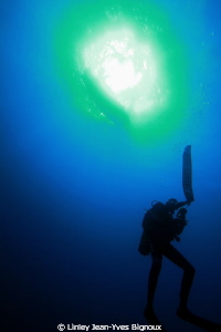 Swing the parachute deep dives Mauritius -Diver- Serge Ga... by Linley Jean-Yves Bignoux 